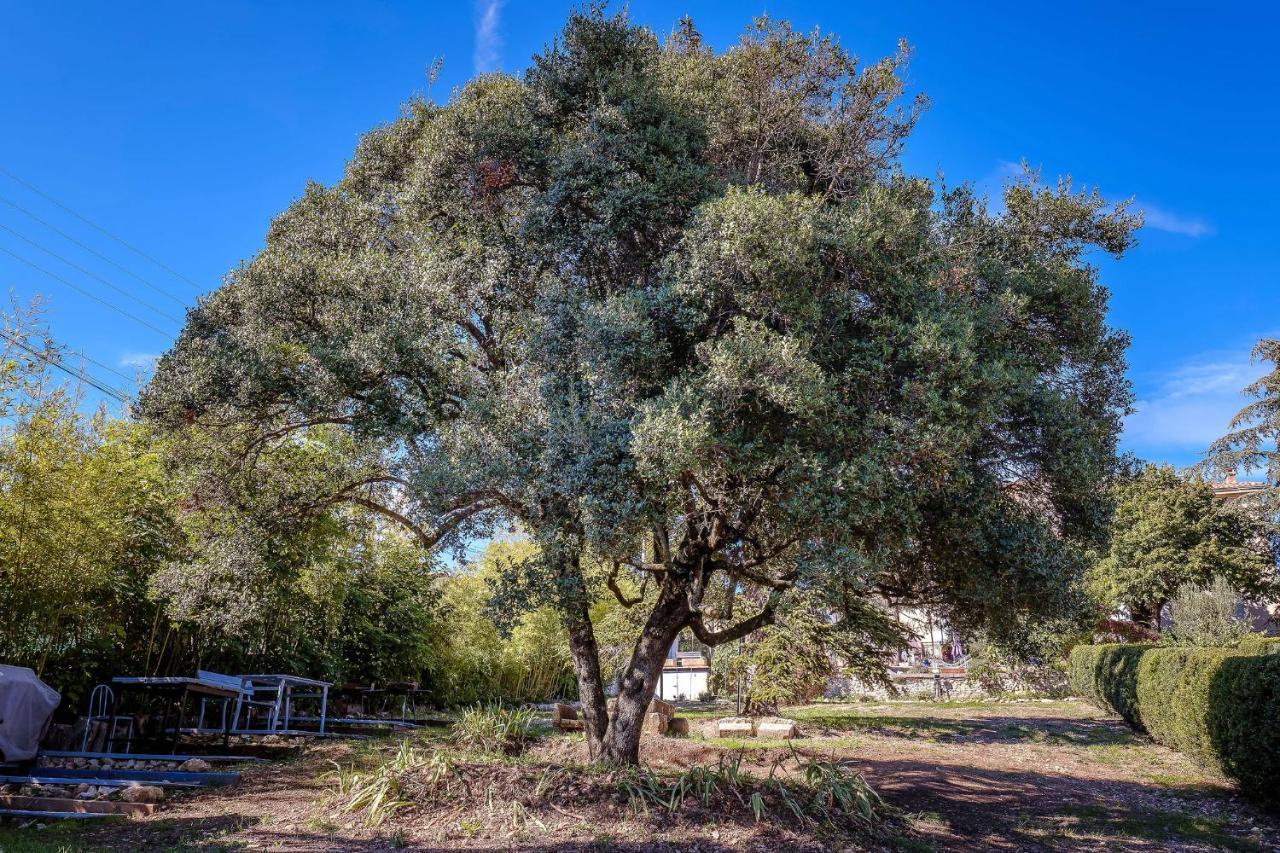 B&B En Provence- Villa Saint Marc Forcalquier Luaran gambar