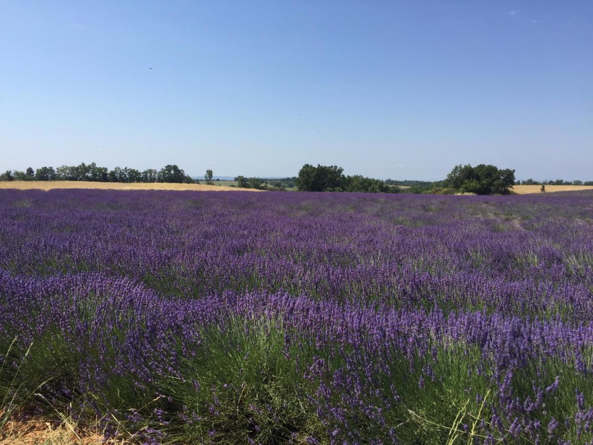 B&B En Provence- Villa Saint Marc Forcalquier Luaran gambar